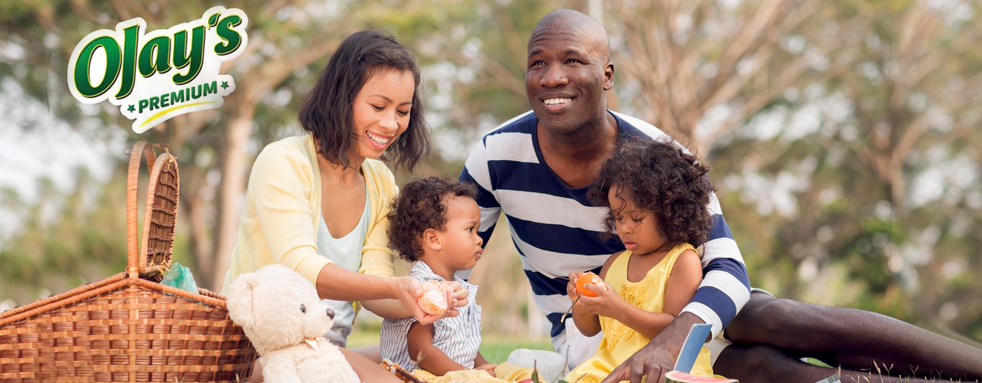 Couple with their kids enjoying picnic